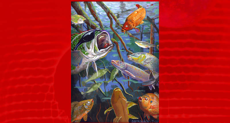 Illustration for children's storybook: 'Larry the Largemouth Bass'