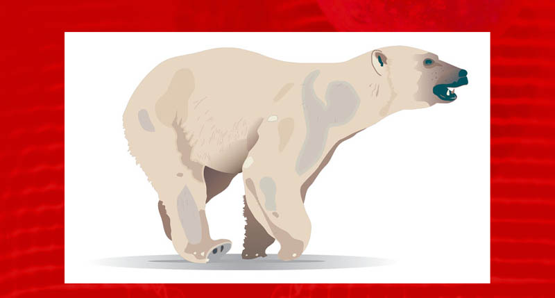 vector drawing done in Freehand